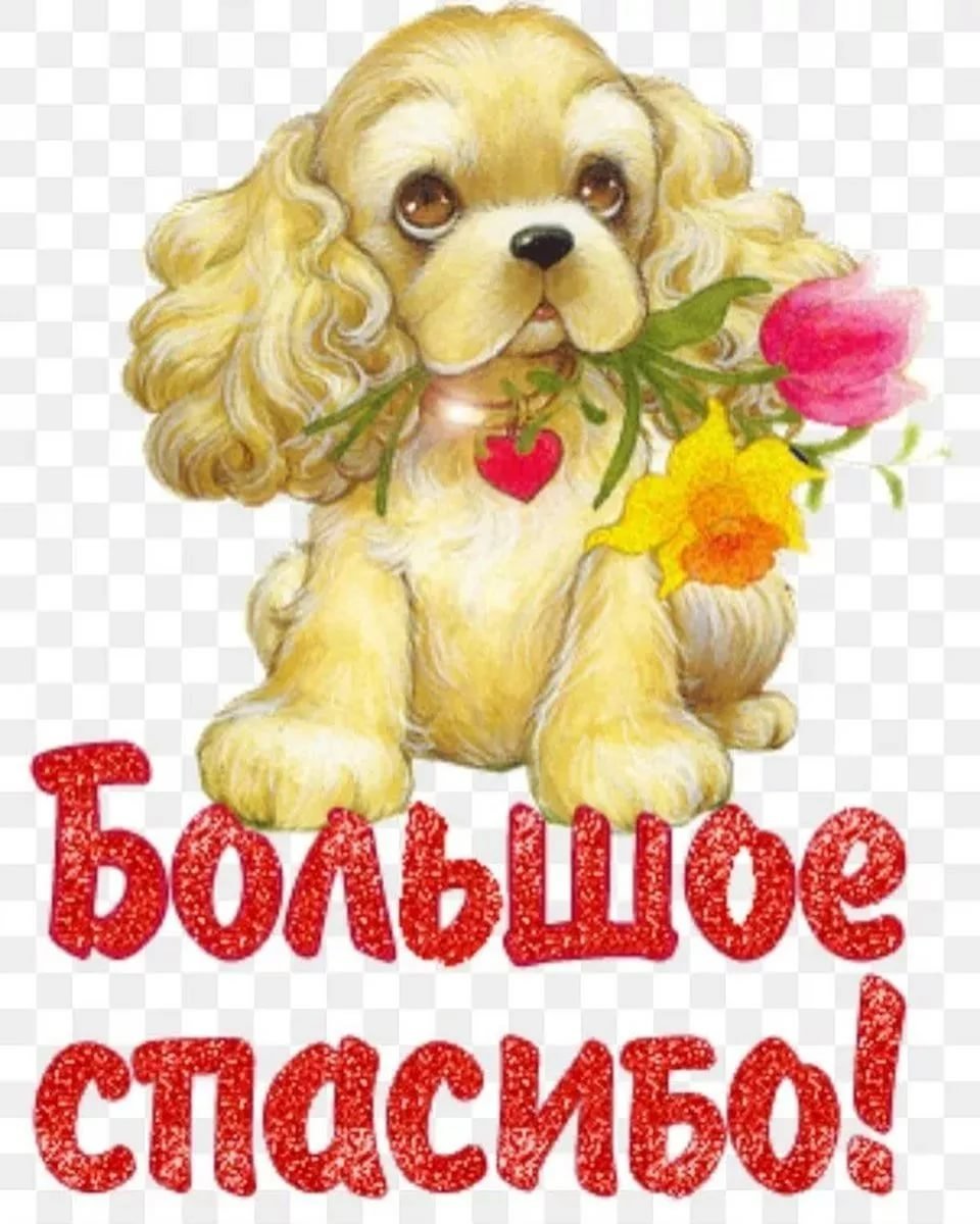 Открытка спасибо