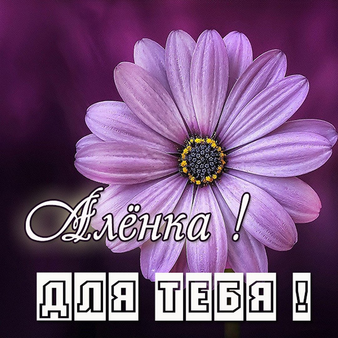 Цветы для Алены