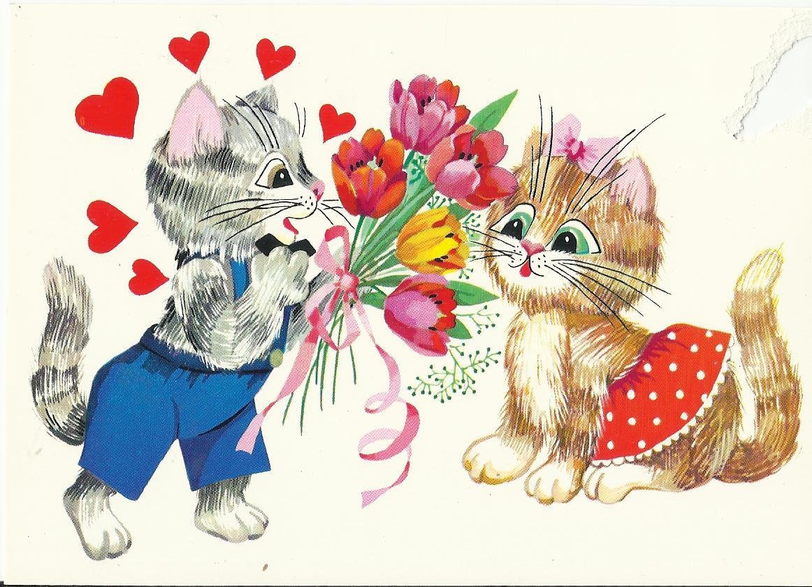 Открытка кошки