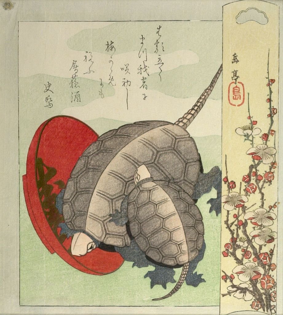 Черепаха в китайской мифологии