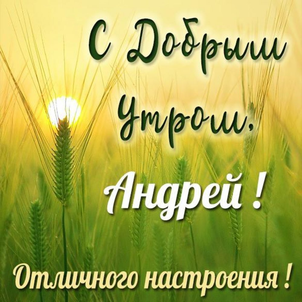 Доброе утро Леночка открытки