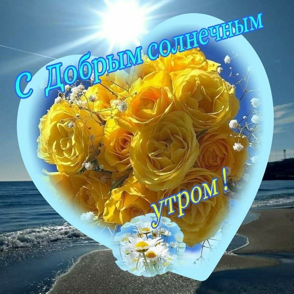 С добрым солнечным утром