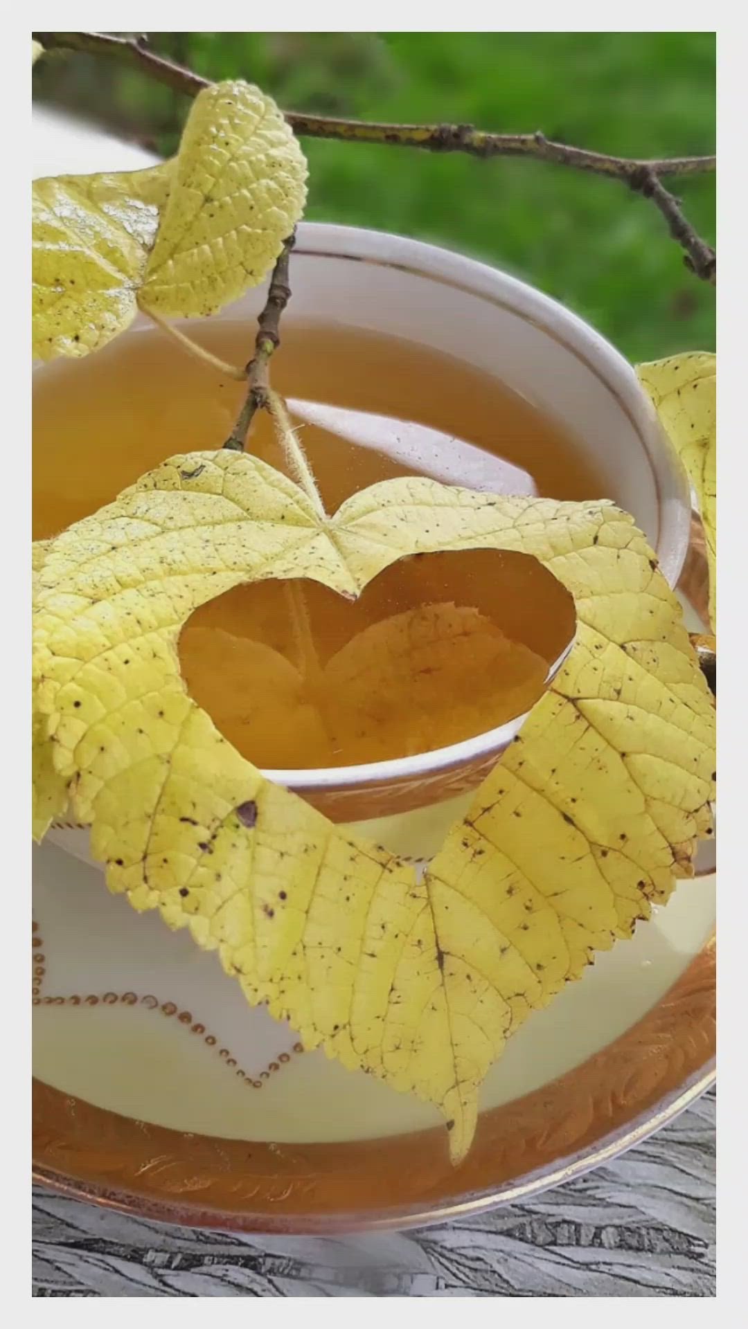 Доброе утро осень