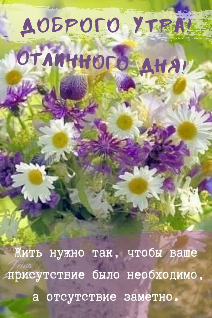 Доброе утро лето