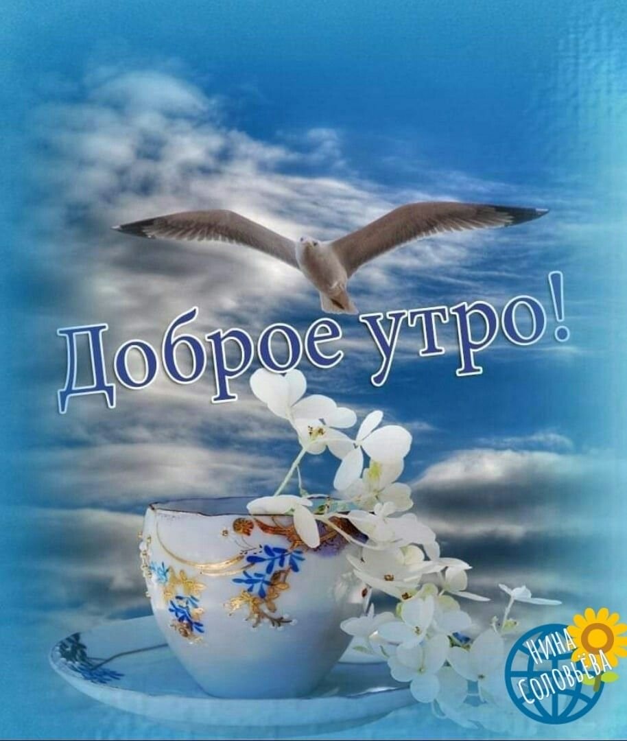 Открытки с добрым мирным утром