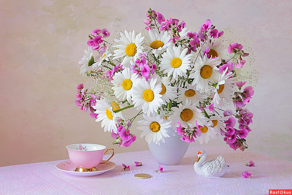 С самого утра счастья радости добра