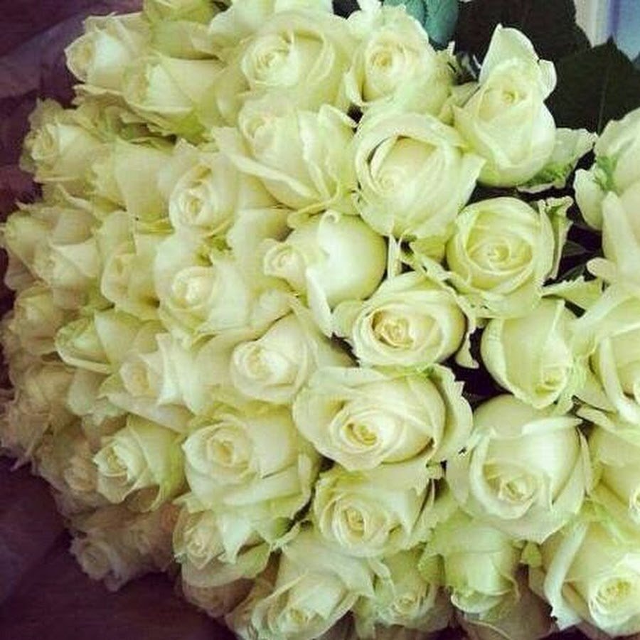 Букет белых роз на кровати