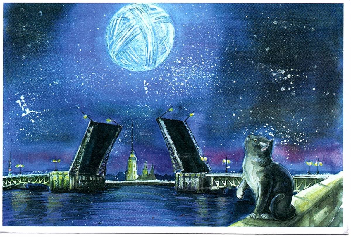 Петербургские коты Чурова