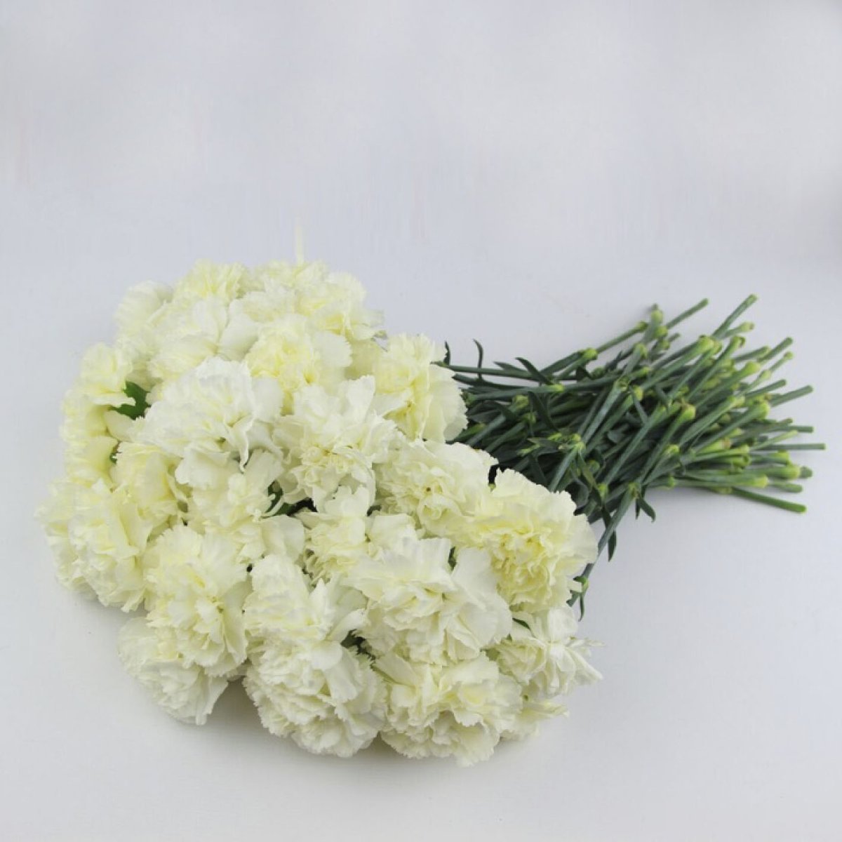 Букет белых гвоздик