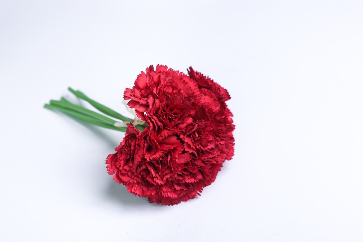 Красная гвоздика