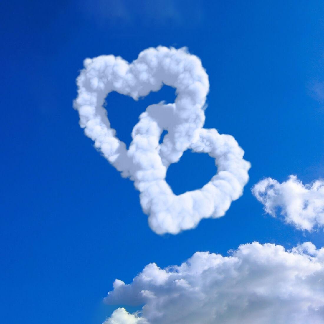 Обручальные кольца и цветы