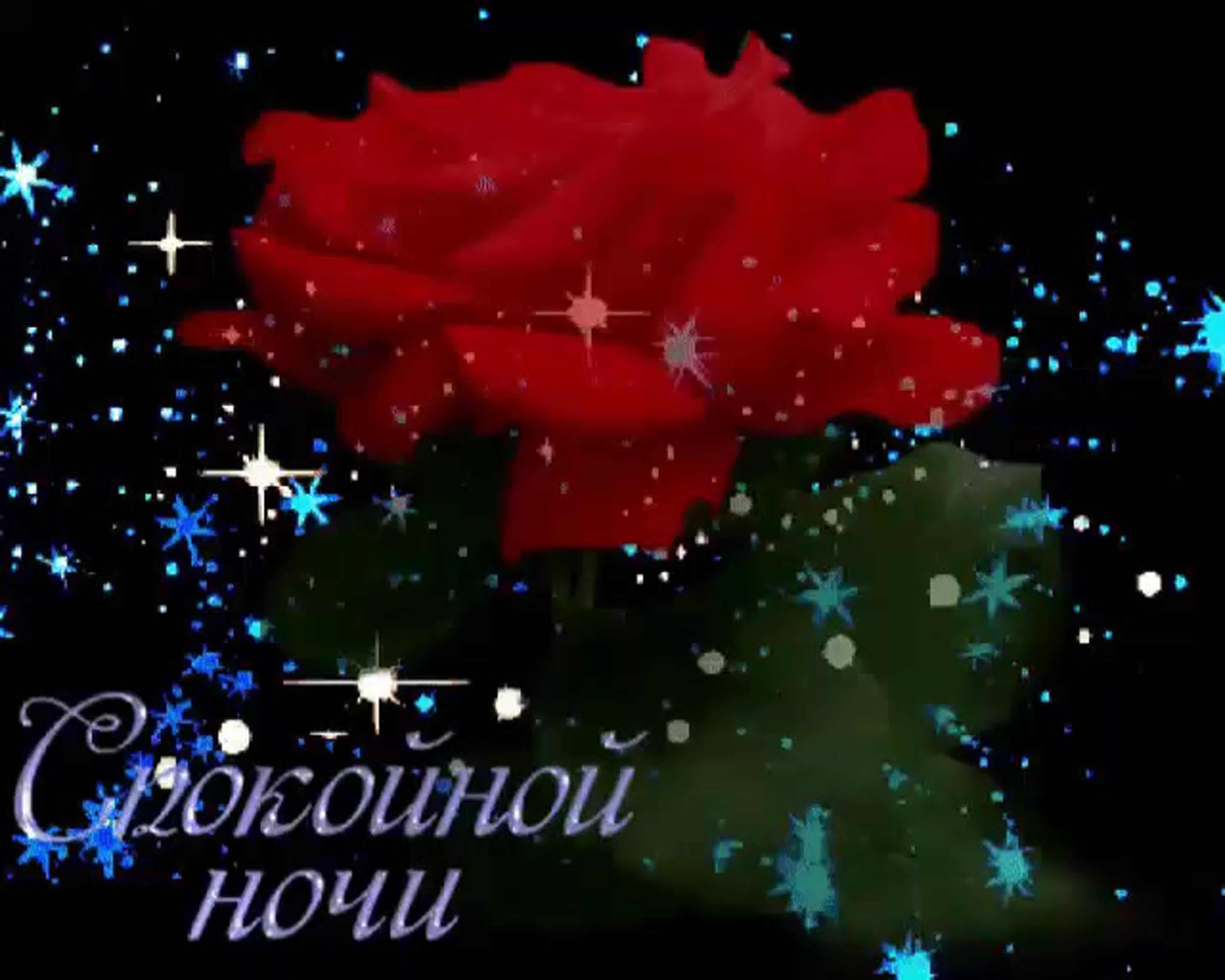 Прекрасная ночь. Пожелания доброй ночи. Спокойной ночи с цветами. Открытки доброй ночи.