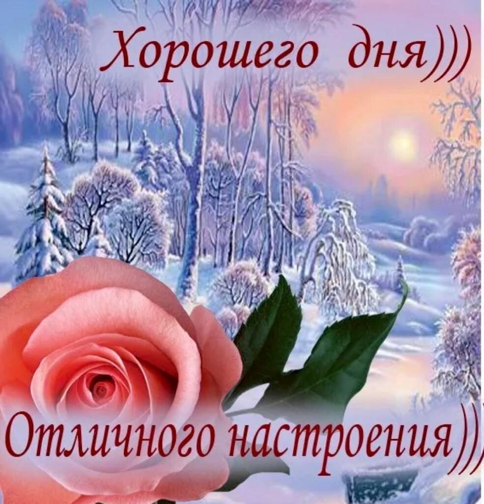 Зимний привет