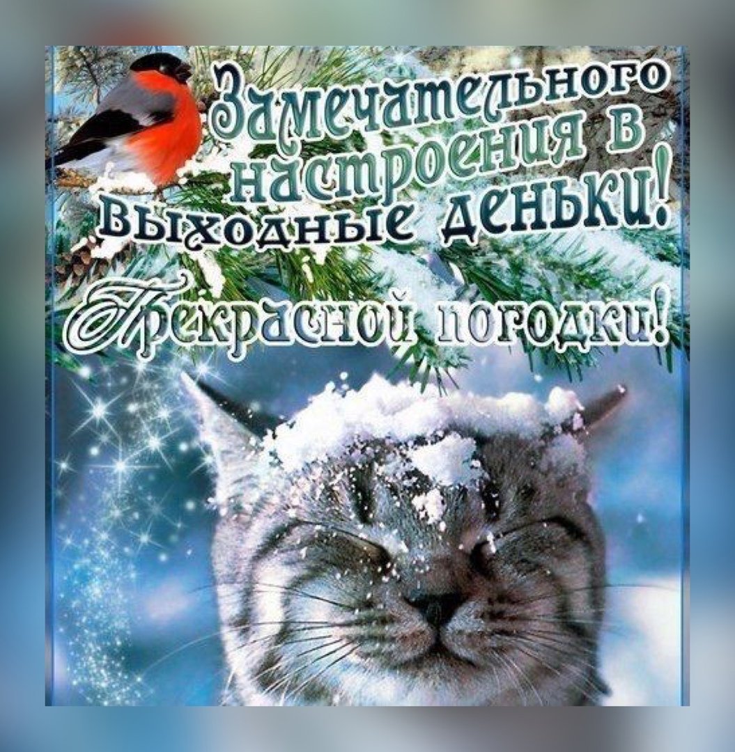 Отлисных зтмних ввхолеых