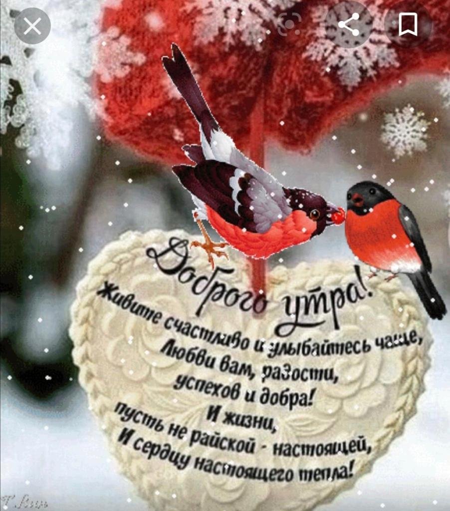 Первый день зимы