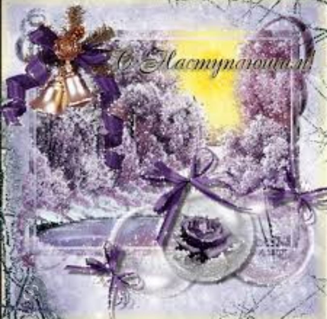 Зимние цветы на белом фоне