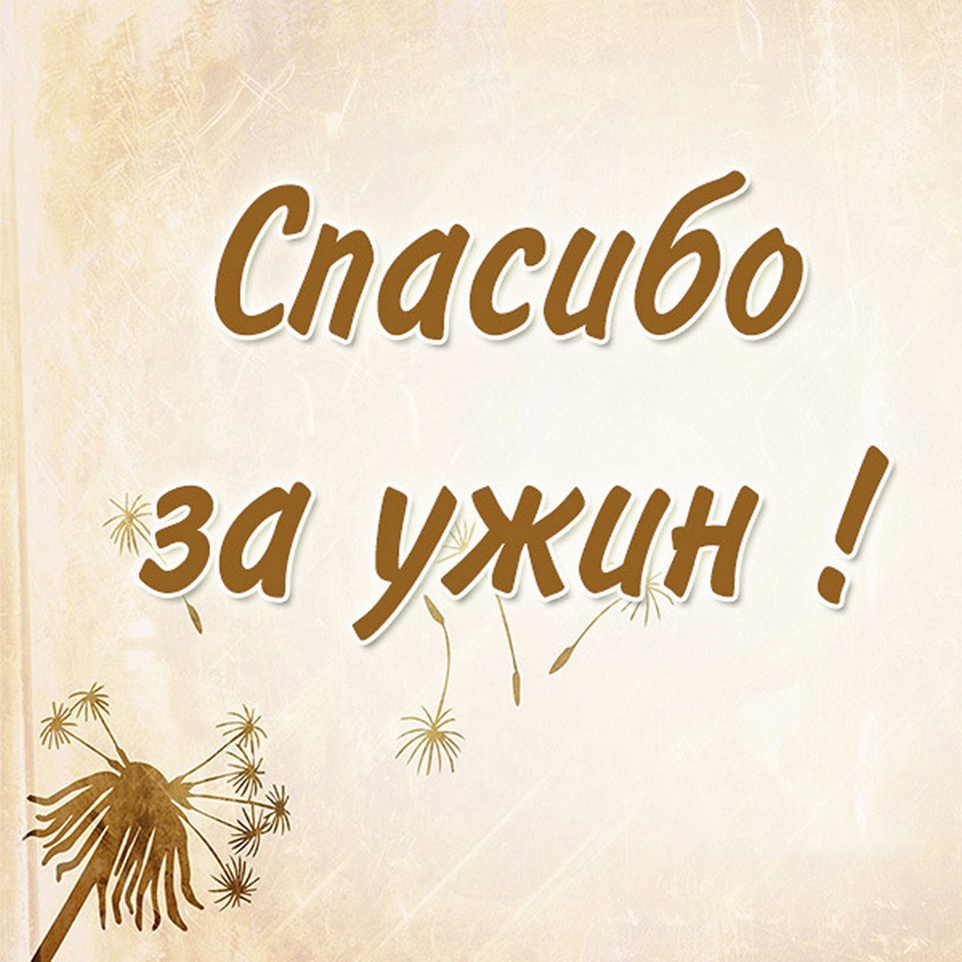 Спасибо за вкусный ужин