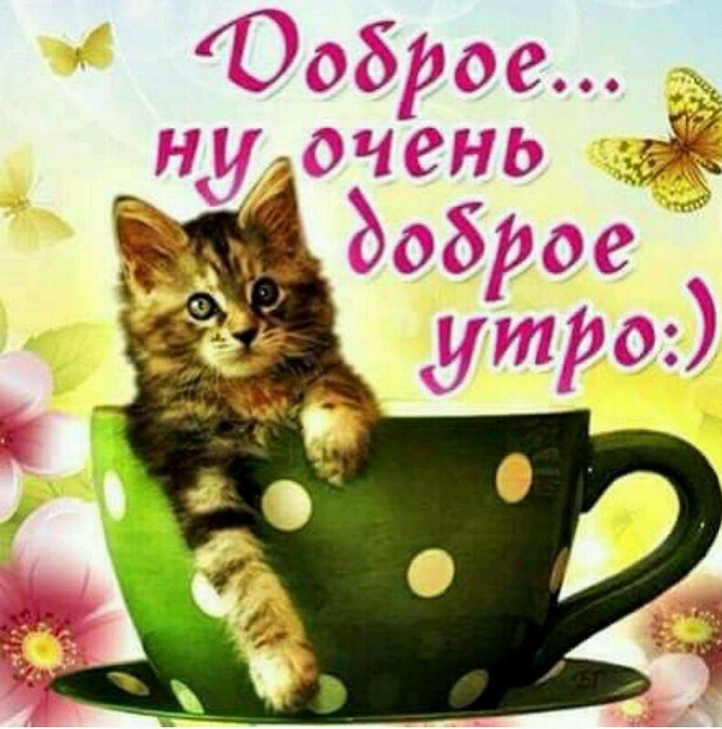 С добрым утром