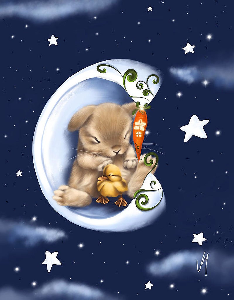 Доброй ночи кролик