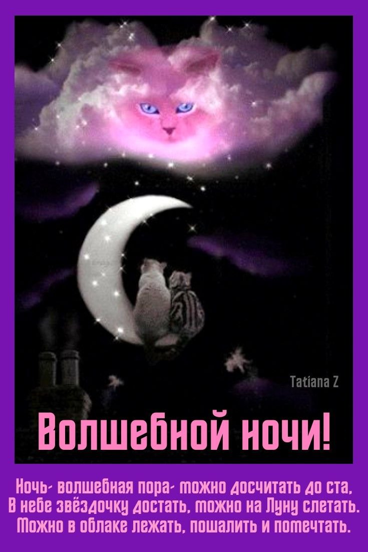 Лунные коты