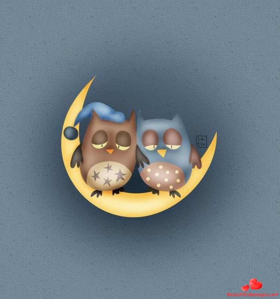Совушки спокойной ночи