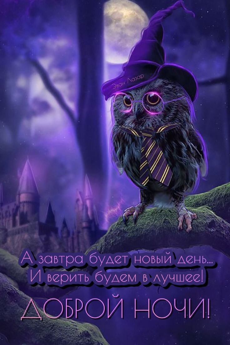 Загадочная Сова