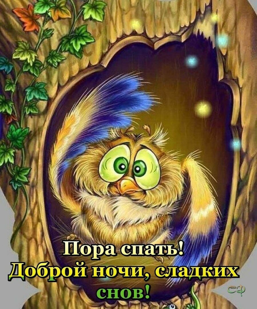 Добрых позитивных снов