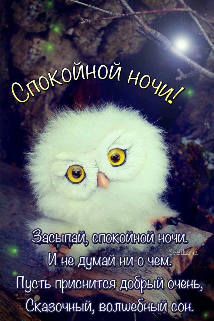 Спокойной ночи Совенок