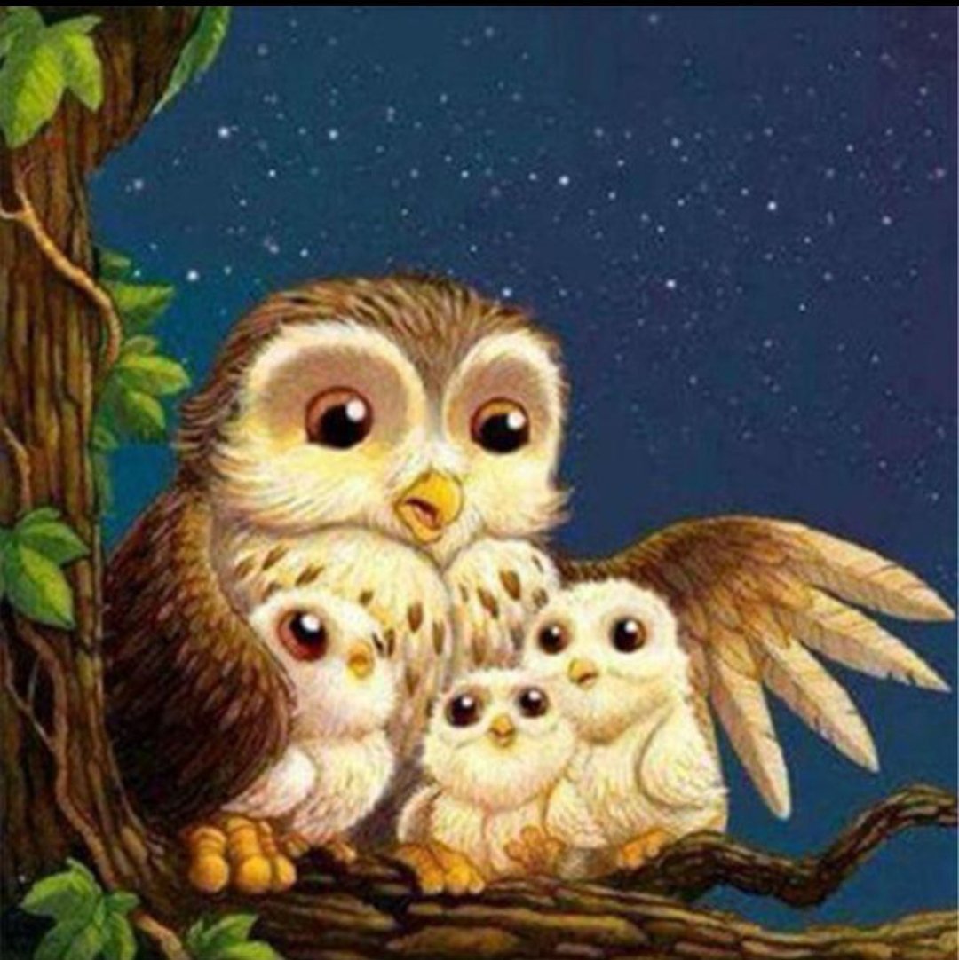 Добрая Сова