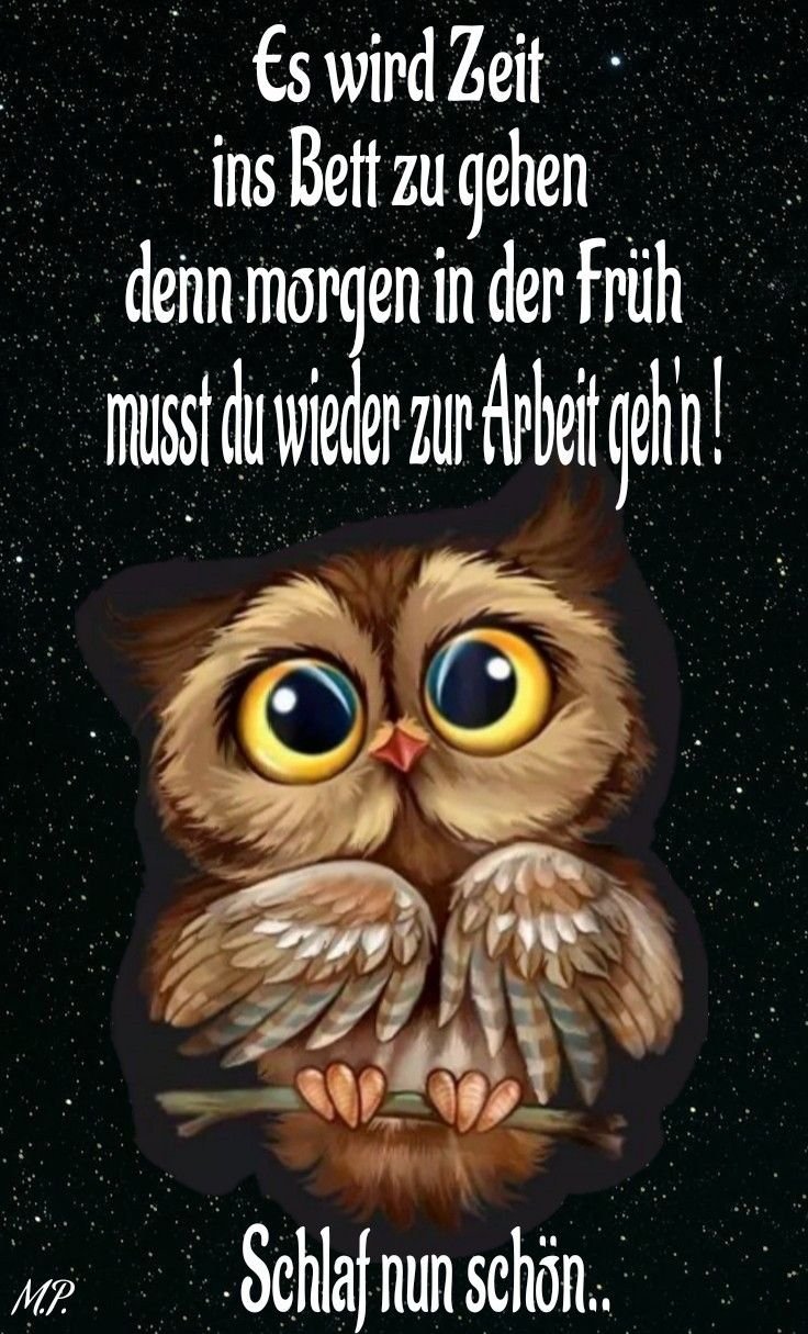 Совы мультяшные