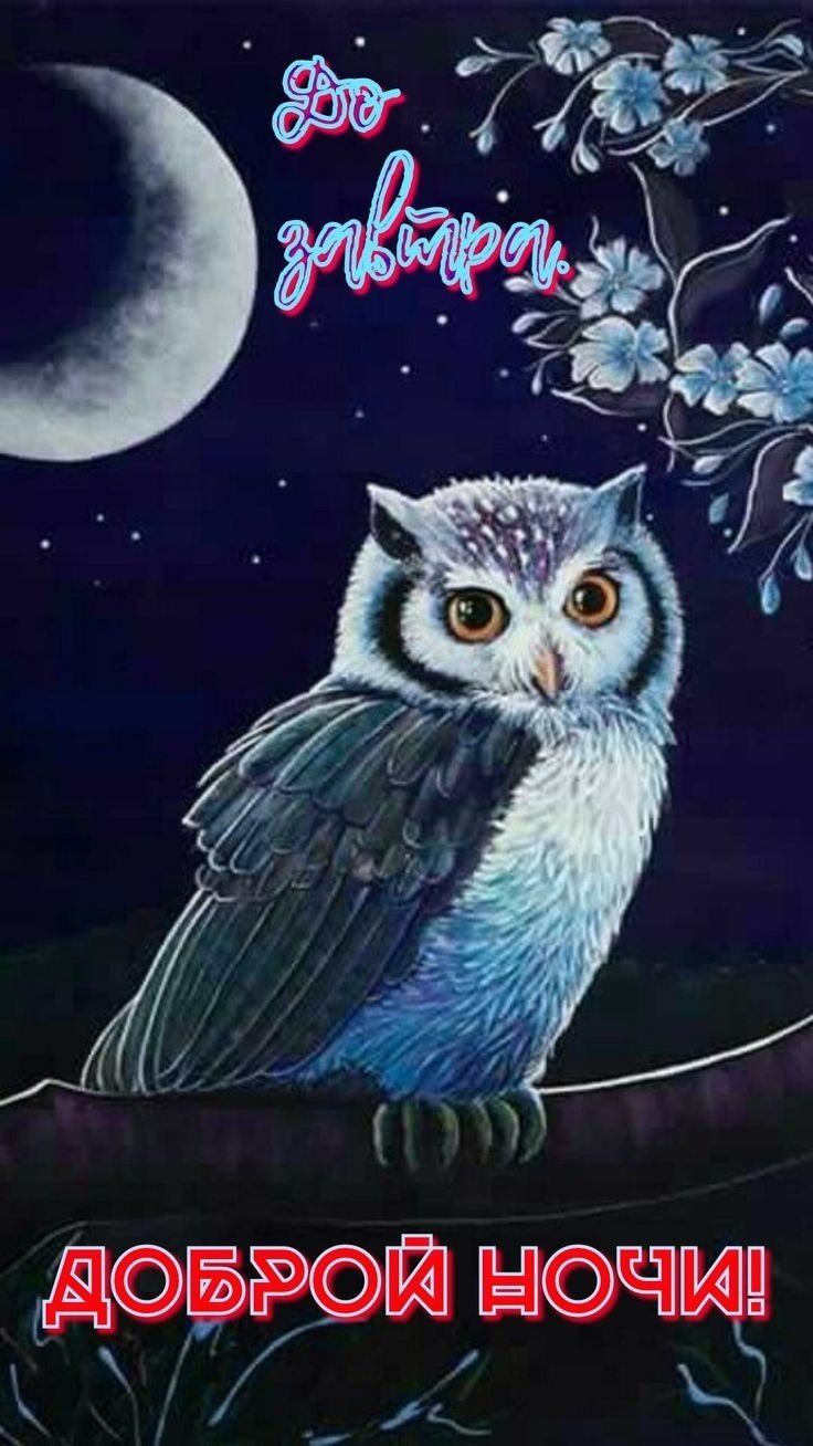 Голубая Сова