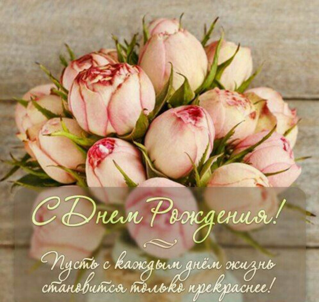 Сднкм рождения тюльпаны