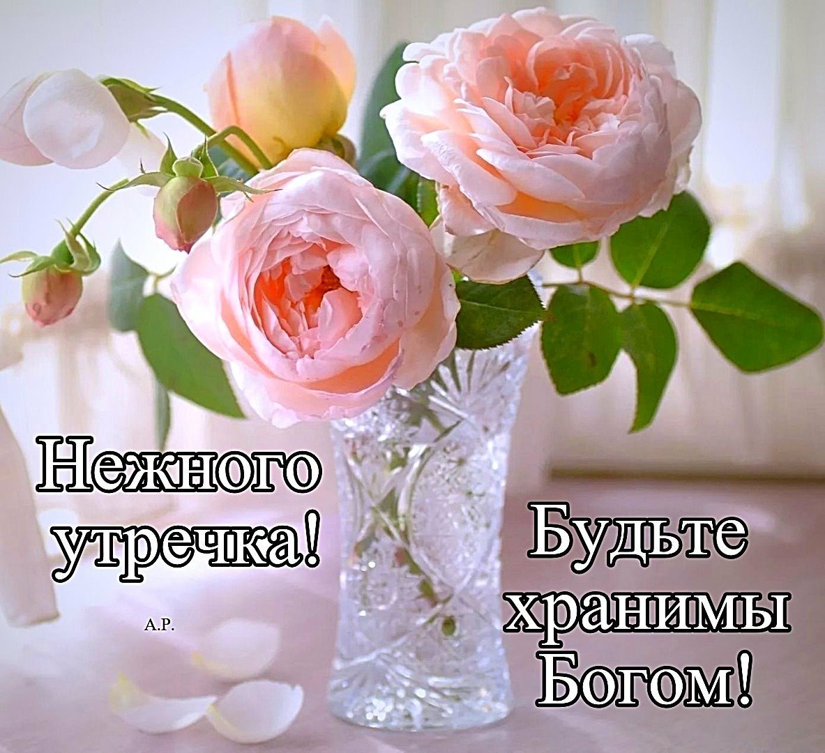 Доброе утро вторника