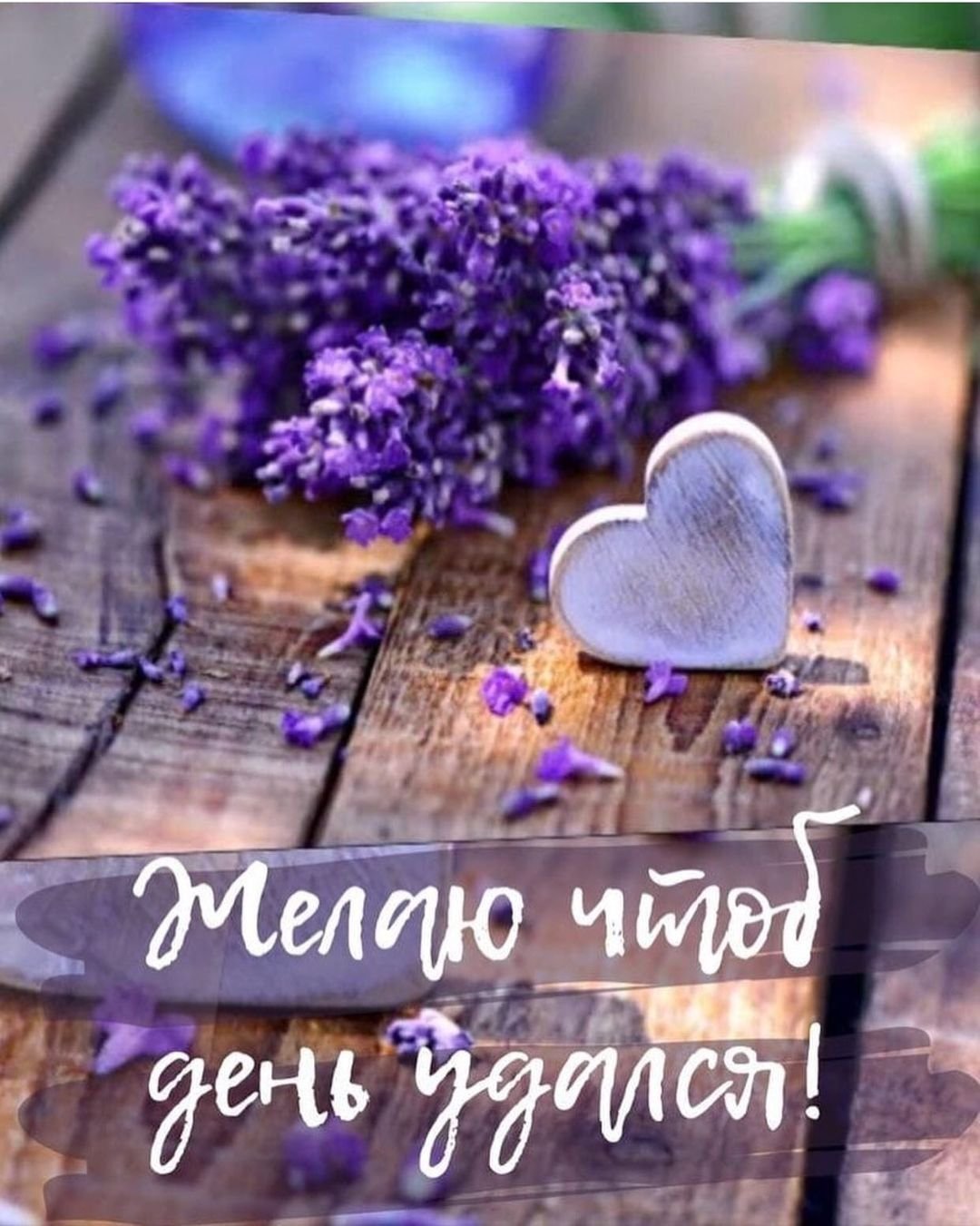 Пожелания с добрым утром любимой девушке романтичные в картинках