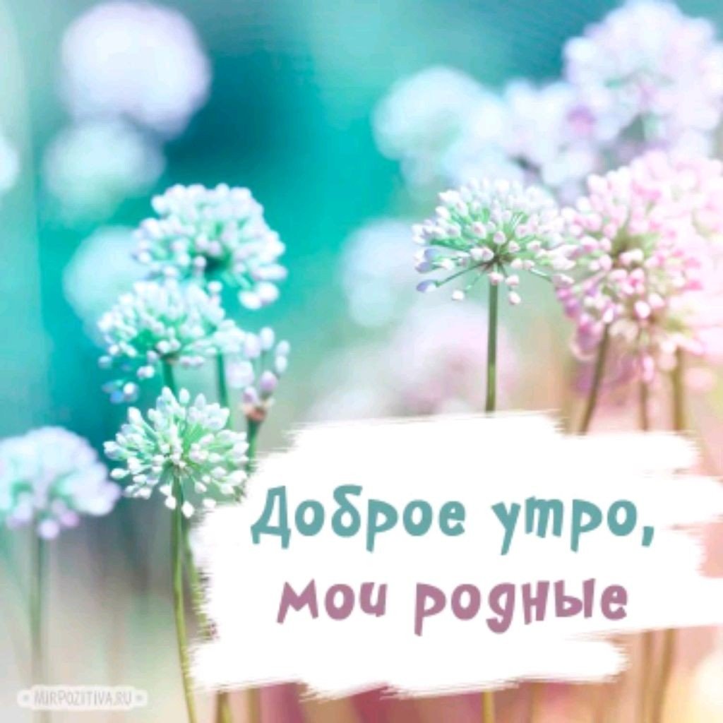 Доброе субботнее утро