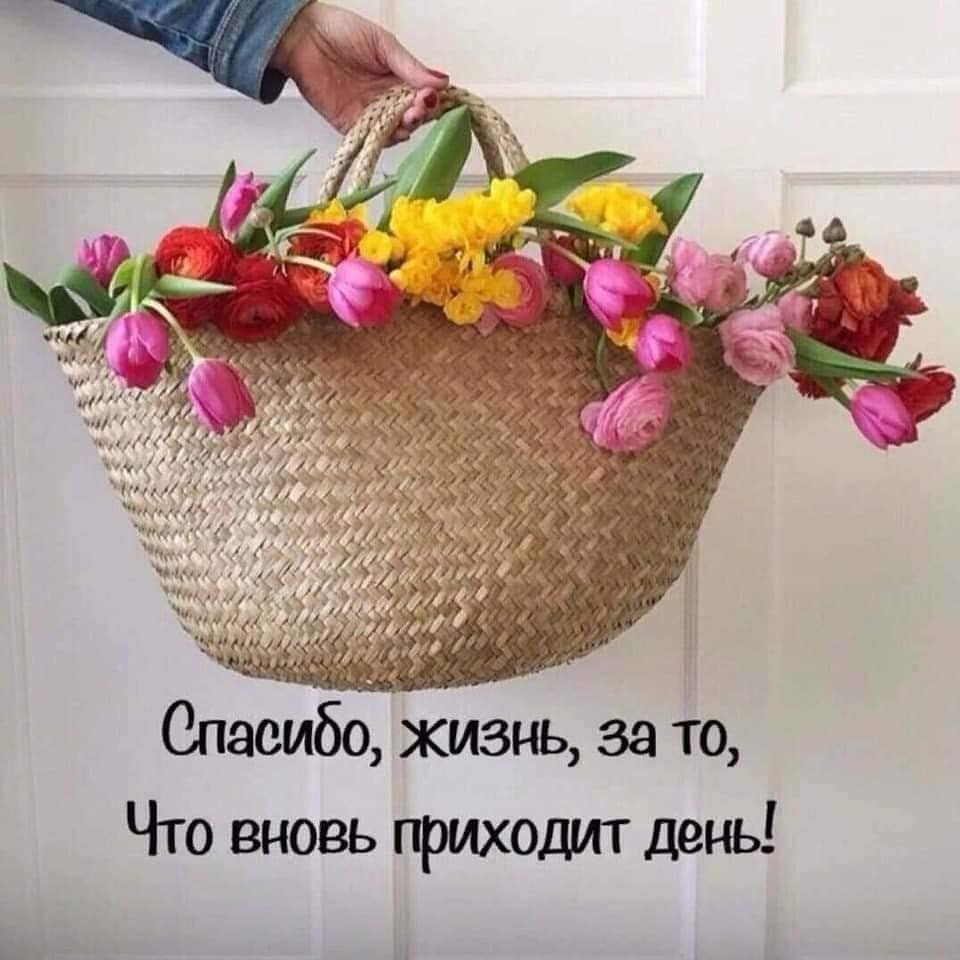 Доброе утро легкого дня