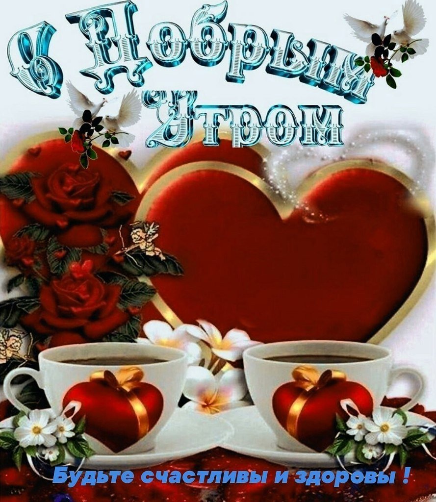 Цветы Прованса