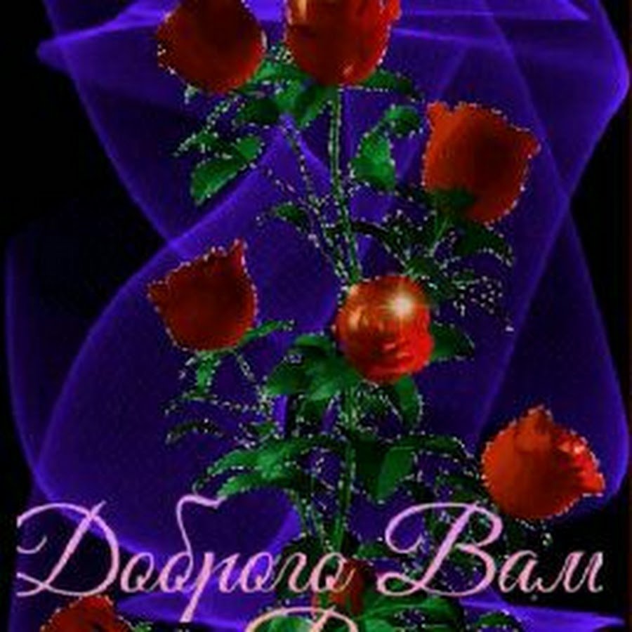 Открытки добрый вечер красивые с цветами