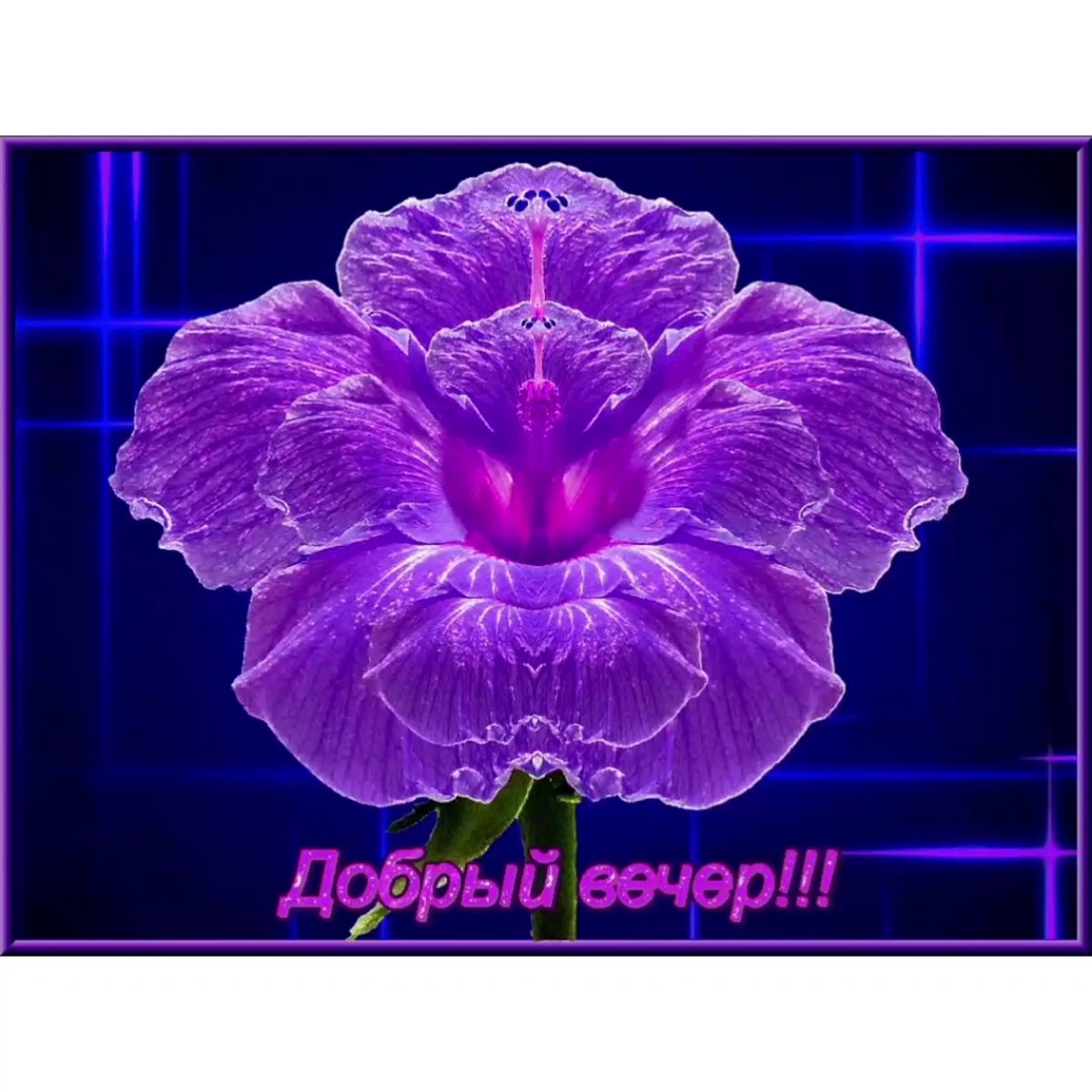 Добрый вечер красивые необычные