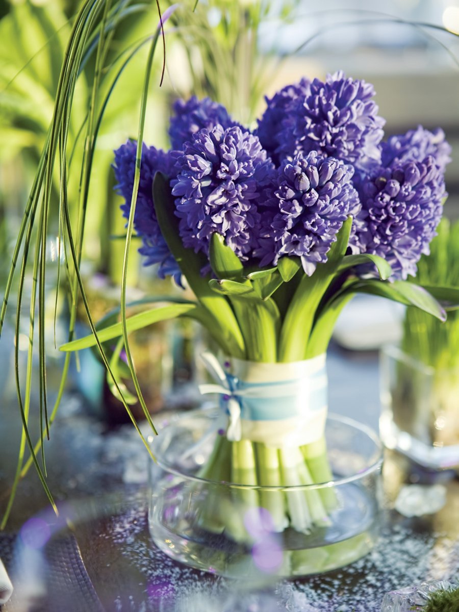 Гиацинты фиолетовые букет
