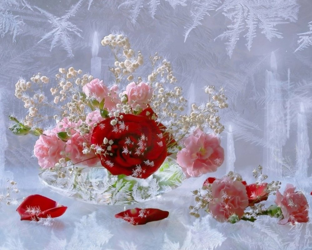 Открытки зимние цветы