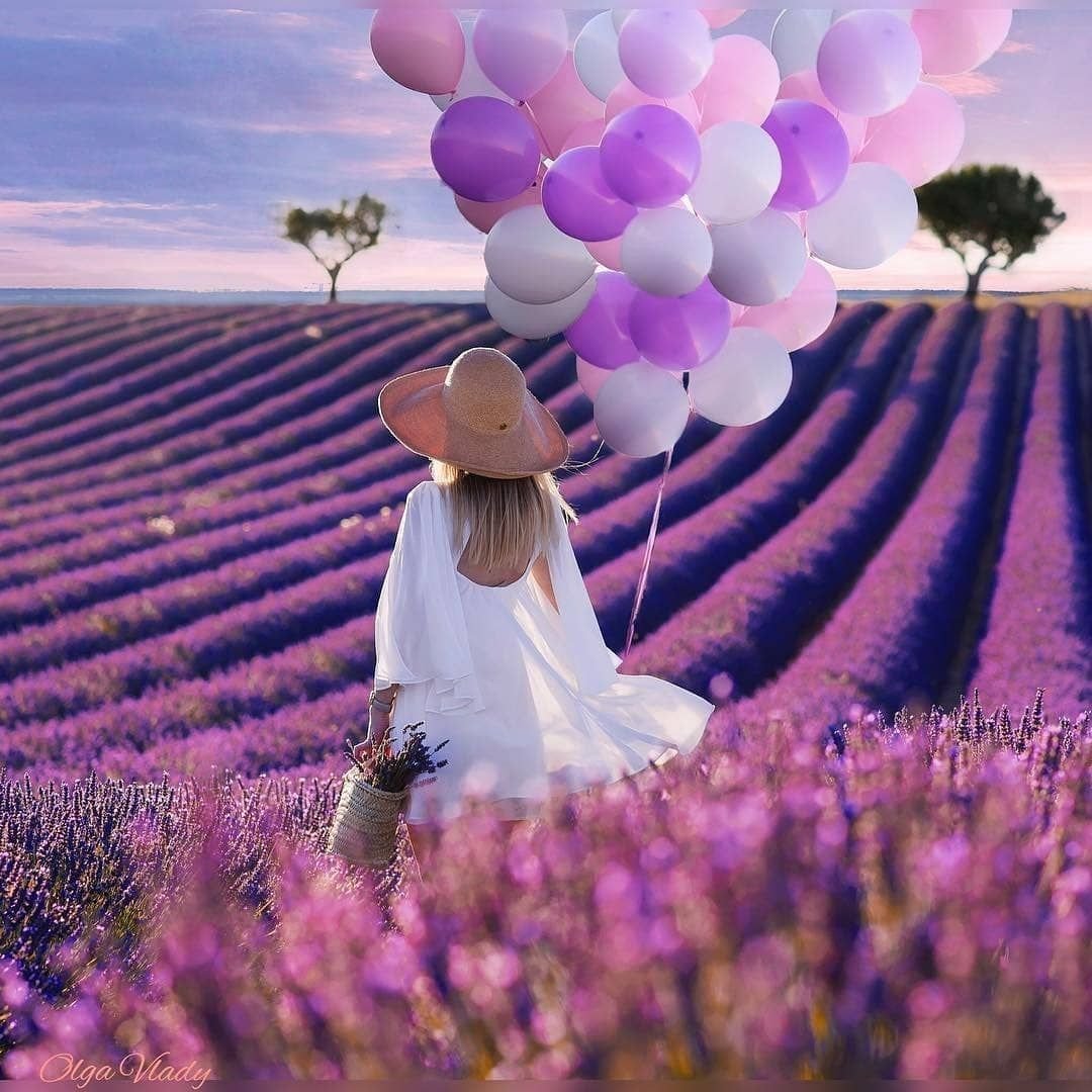 Лавандовый цвет