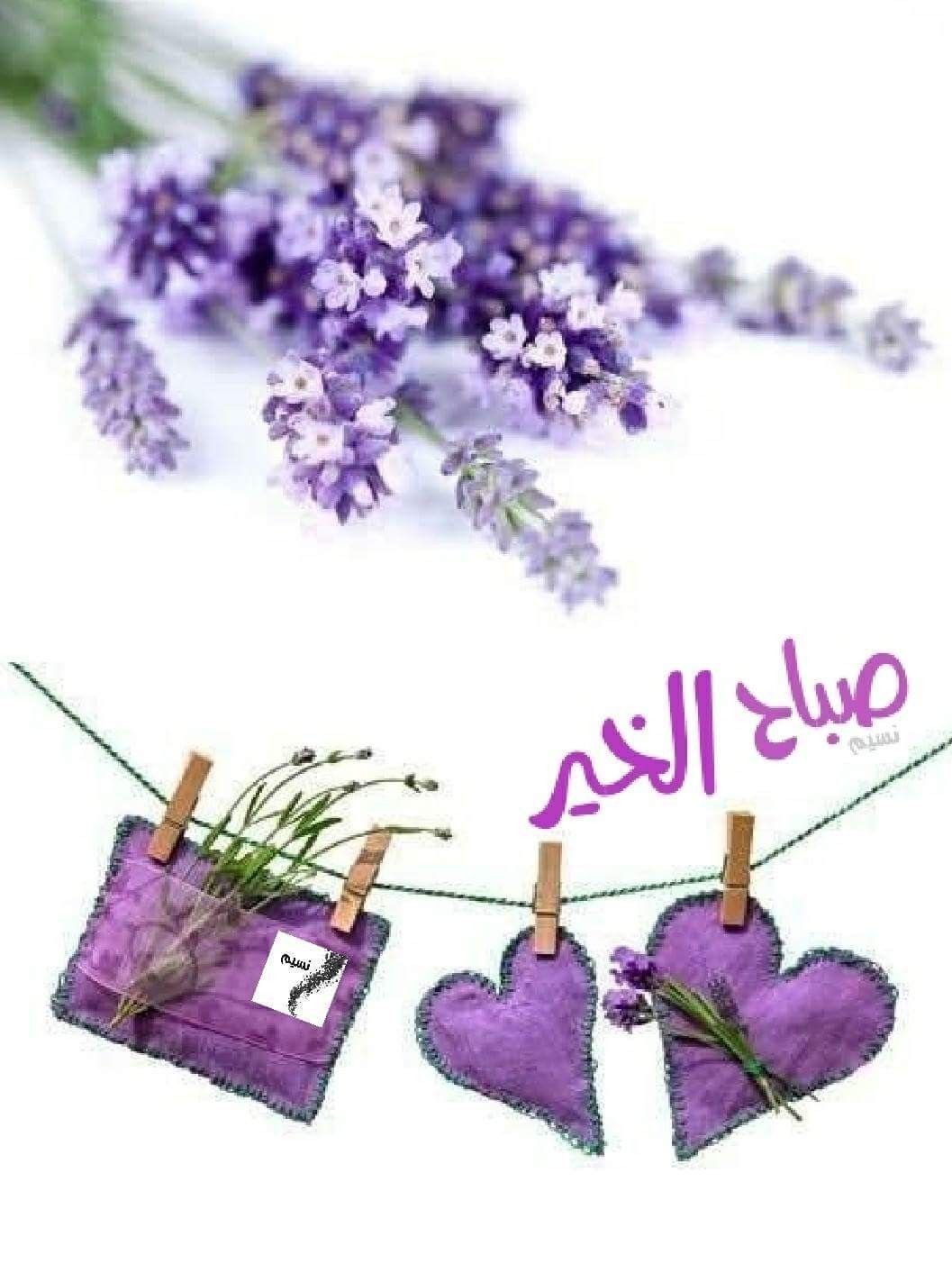 Лаванда открытка