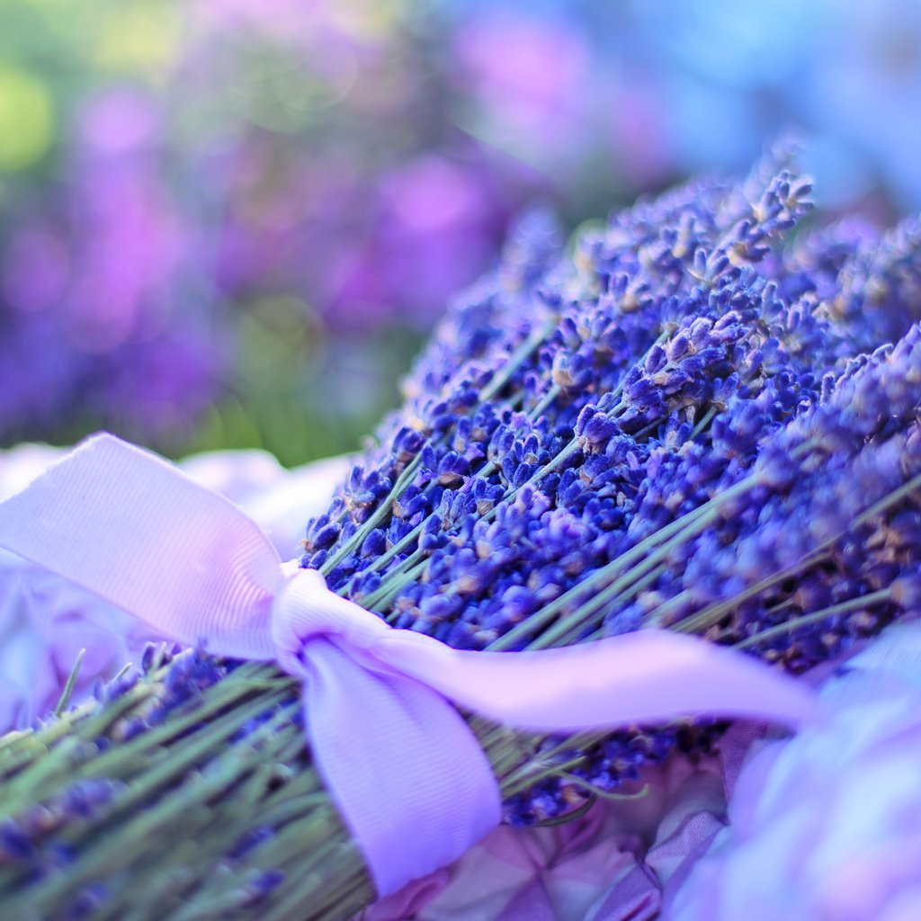 С днем рождения Лаванда