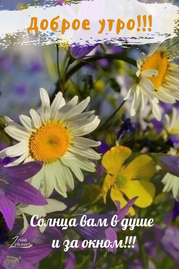 Доброе утро Надежда