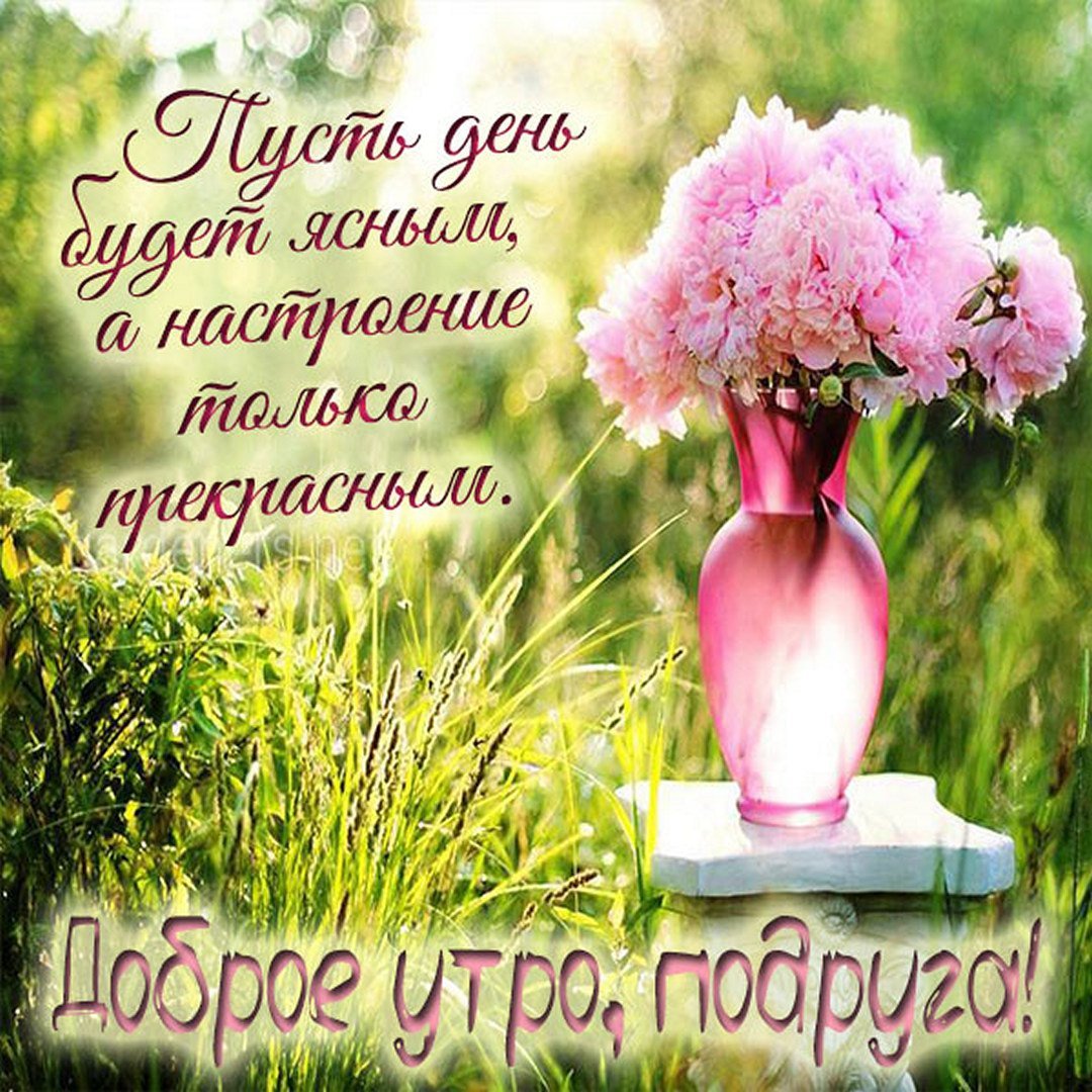 Утренние цветы с пожеланиями