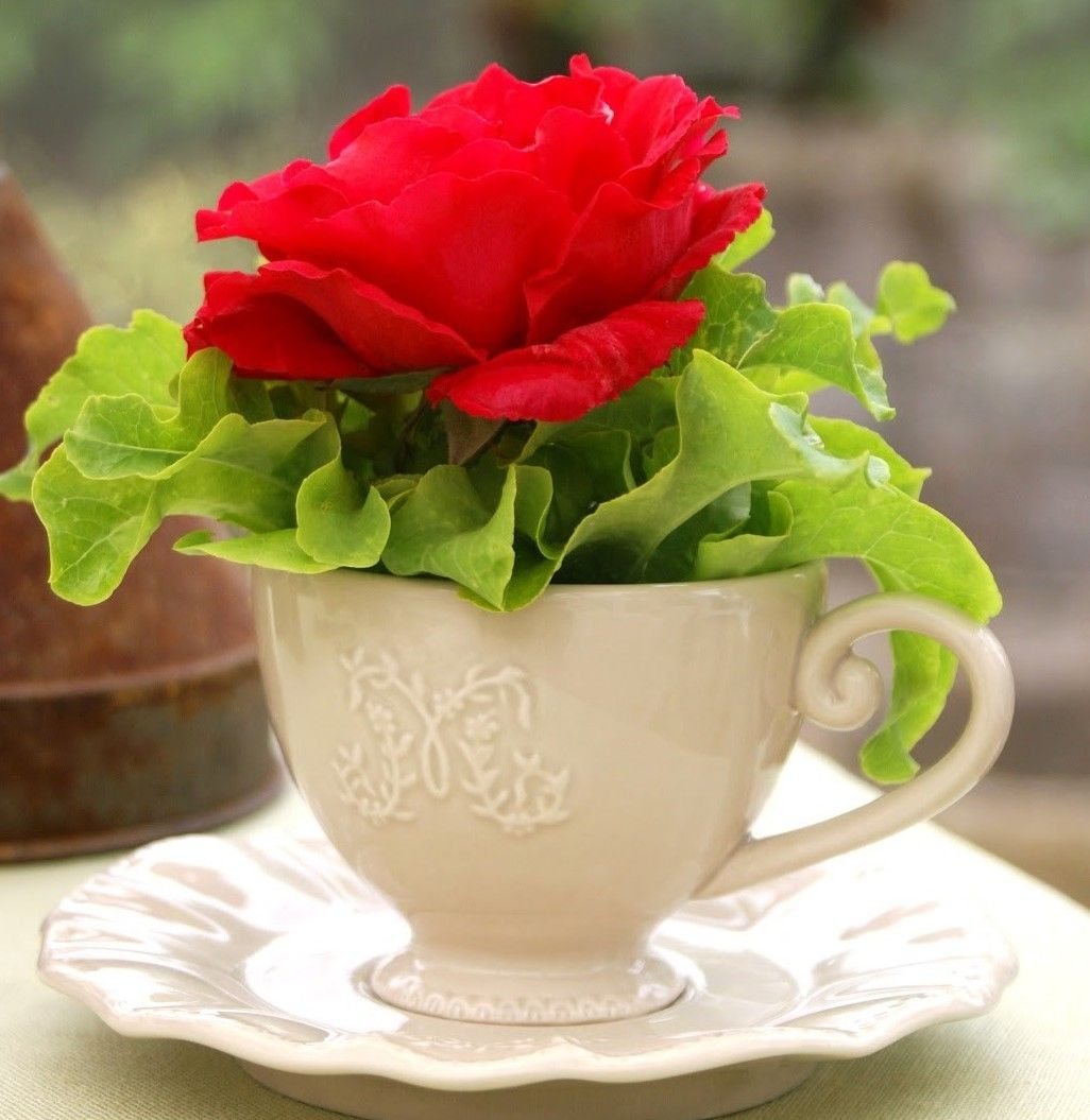 Доброго весеннего утра юмор