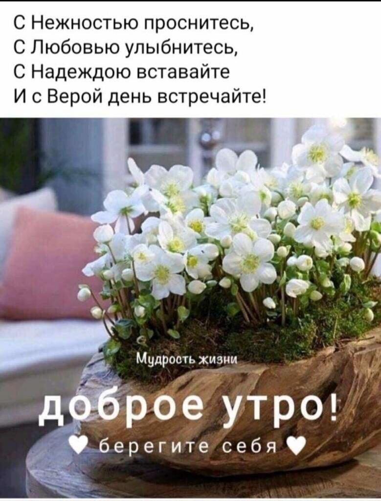 Доброе утро Кристина