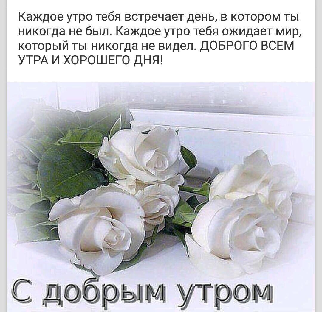 Доброе утро чай цветы