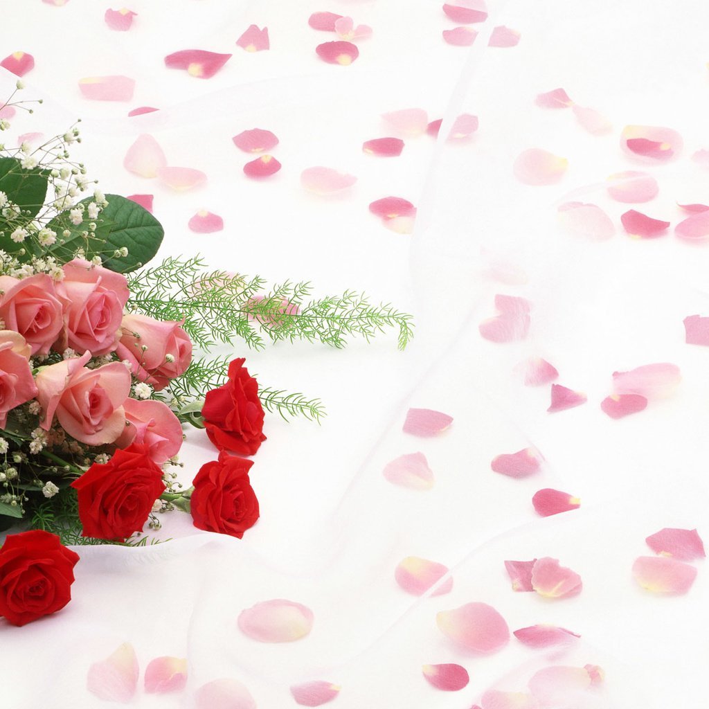 С днём рождения Арина